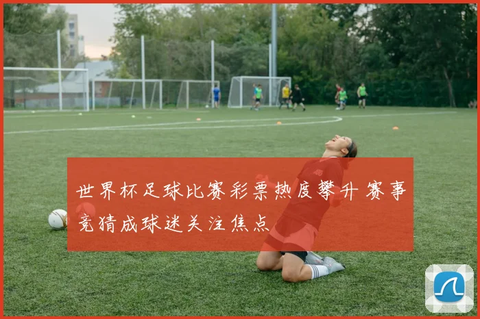 世界杯足球比赛彩票热度攀升 赛事竞猜成球迷关注焦点