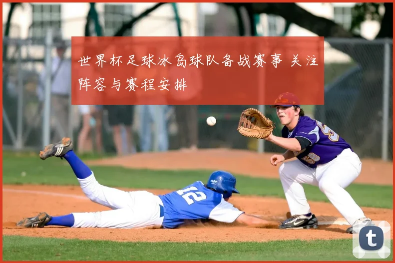 世界杯足球冰岛球队备战赛事 关注阵容与赛程安排