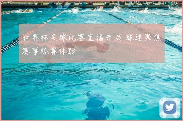 世界杯足球比赛直播开启 球迷聚焦赛事观赛体验