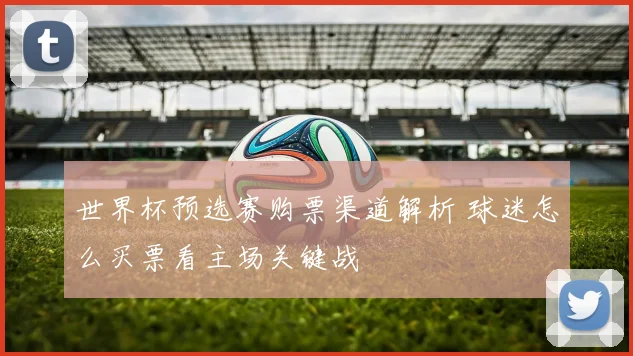 世界杯预选赛购票渠道解析 球迷怎么买票看主场关键战